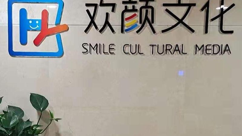 纪录片脚本写作：价格构成与考量因素**